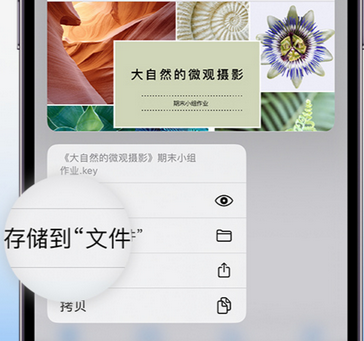 马山apple维修中心分享iPhone文件应用中存储和找到下载文件