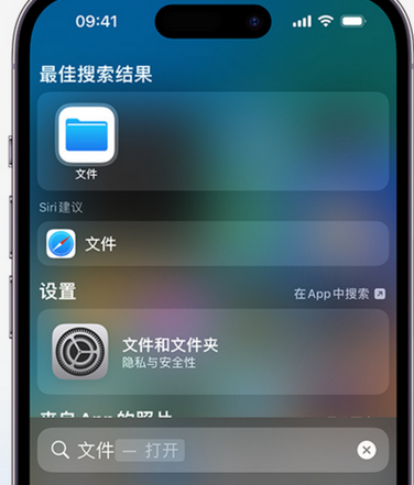 马山apple维修中心分享iPhone文件应用中存储和找到下载文件