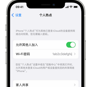 马山apple服务站点分享iPhone上个人热点丢失了怎么办 