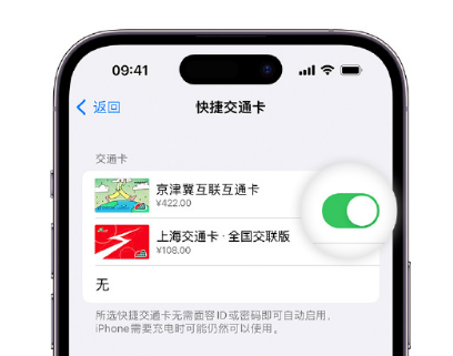 马山apple维修点分享iPhone上更换Apple Pay快捷交通卡手绘卡面 