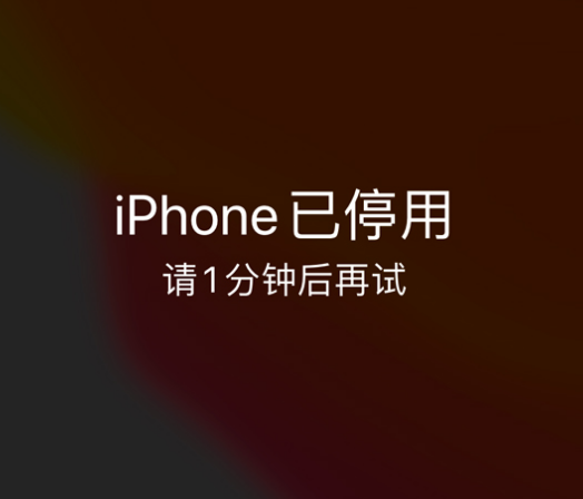 马山苹果手机维修分享:iPhone 显示“不可用”或“已停用”怎么办？还能保留数据吗？ 