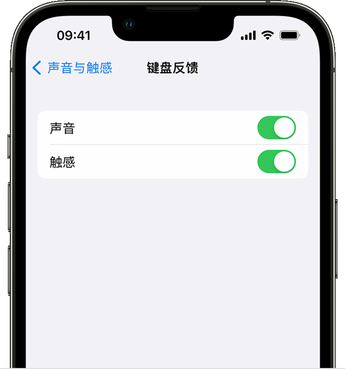 马山苹果14维修店分享如何在 iPhone 14 机型中使用触感键盘 