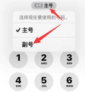 马山苹果14维修店分享iPhone 14 Pro Max使用副卡打电话的方法 