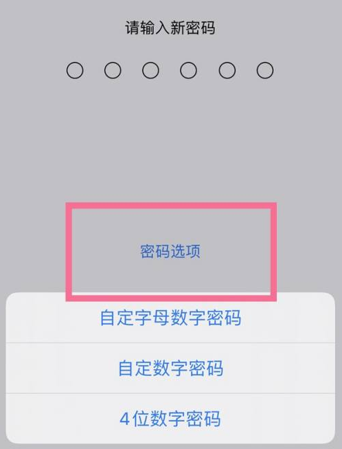 马山苹果14维修分享iPhone 14plus设置密码的方法 