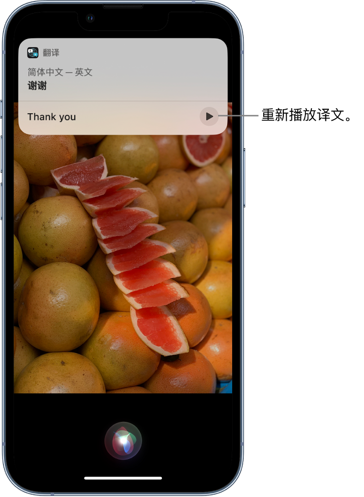 马山苹果14维修分享 iPhone 14 机型中使用 Siri：了解 Siri 能帮你做什么 