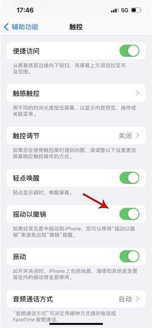 马山苹果手机维修分享iPhone手机如何设置摇一摇删除文字 